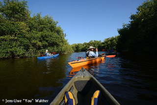 Everglades im Süden Floridas 2014